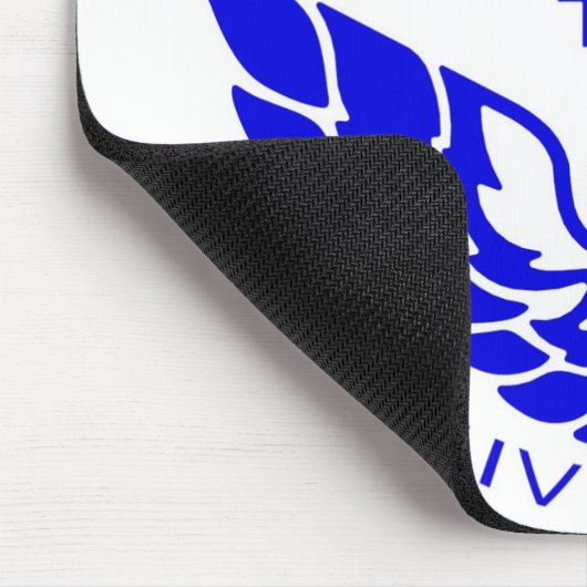 30e trans am muismat (Hoek)