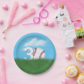 30e verjaardag honkbal in groen gras papieren bordje (Feest)