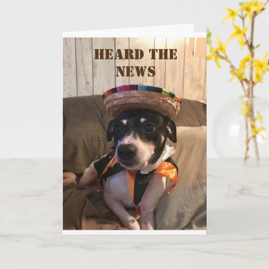 "30E VERJAARDAG" WENS VAN COOLE HOND KAART (Gele Bloem)