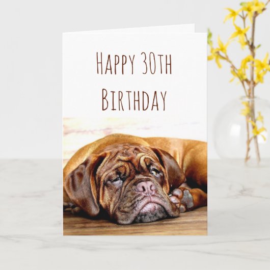 30e verjaardag Zad Dog Blijf pooitief Humor Kaart (Gele Bloem)