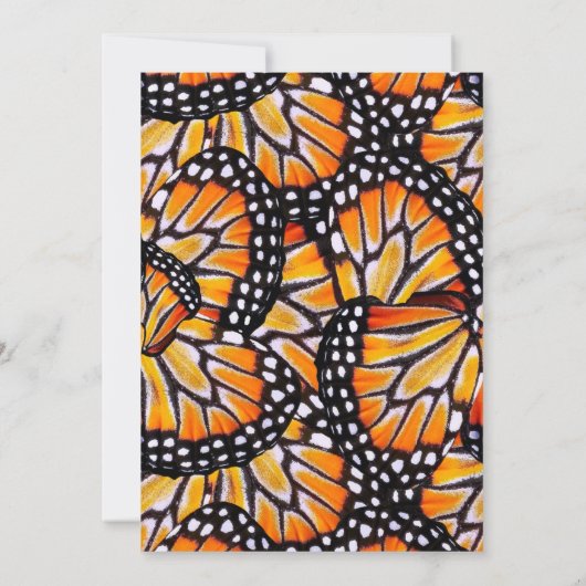 30e vlinder vleugels kleurrijke moderne gewoonte kaart (Achterkant)