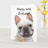 30th Birthday French Bulldog Greeting Card Kaart (Gele Bloem)