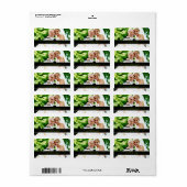311 Adreslabel voor Pas getrouwd Etiket (Full Sheet)