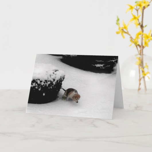 311 Afstuderen gefeliciteerd Kaart (Gele Bloem)