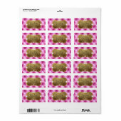 311 Ciao Bella Roze Tuft Luipaard Etiket (Full Sheet)