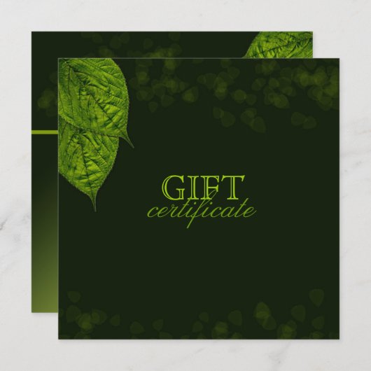 311 Dream Leaf Gift-certificaat (Voorkant / Achterkant)