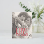 311 Fotoliefhebbers zijn het enige dat je rood roz Briefkaart (Staand voorkant)