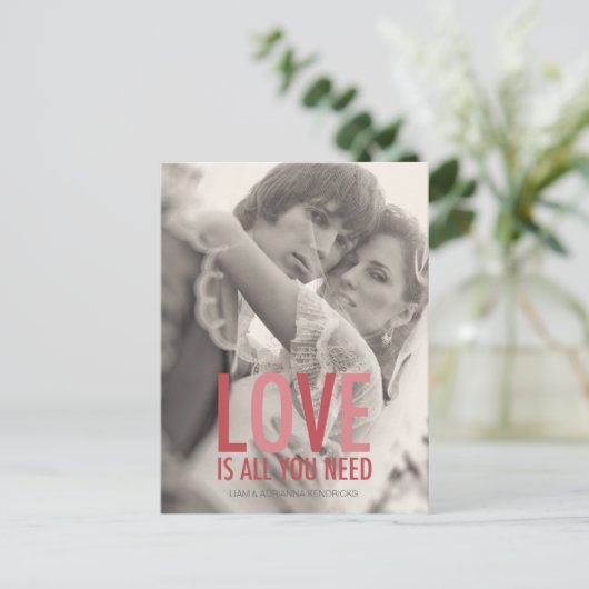 311 Fotoliefhebbers zijn het enige dat je rood roz Briefkaart (Staand voorkant)