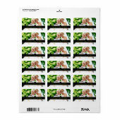 311  Pas getrouwd kerstlabel Etiket (Full Sheet)