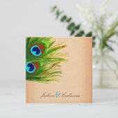 311-Peacock- achtergrond Kaart (Staand voorkant)