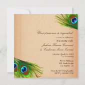 311-Peacock- achtergrond Kaart (Achterkant)