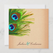 311-Peacock- achtergrond Kaart (Voorkant)