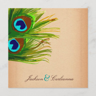 311-Peacock- achtergrond Kaart