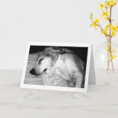 311 Pensioen Rocks Kaart (Gele Bloem)