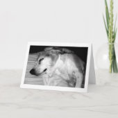 311 Pensioen Rocks Kaart (Voorkant)