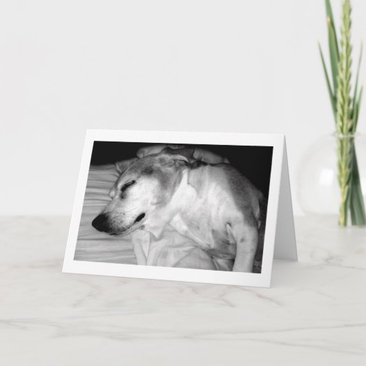 311 Pensioen Rocks Kaart (Voorkant)