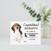 311-Super Duper Dog Certificaat Briefkaart (Staand voorkant)