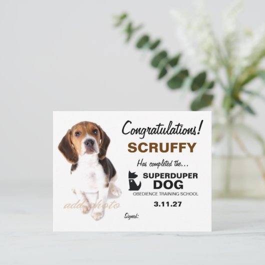 311-Super Duper Dog Certificaat Briefkaart (Staand voorkant)