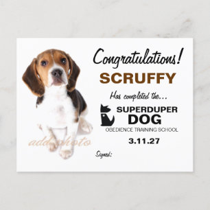 311-Super Duper Dog Certificate Briefkaart