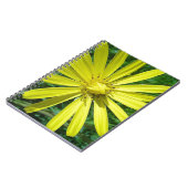 318.JPG NOTITIEBOEK (Linkerzijde)