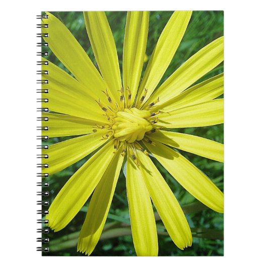318.JPG NOTITIEBOEK (Voorkant)