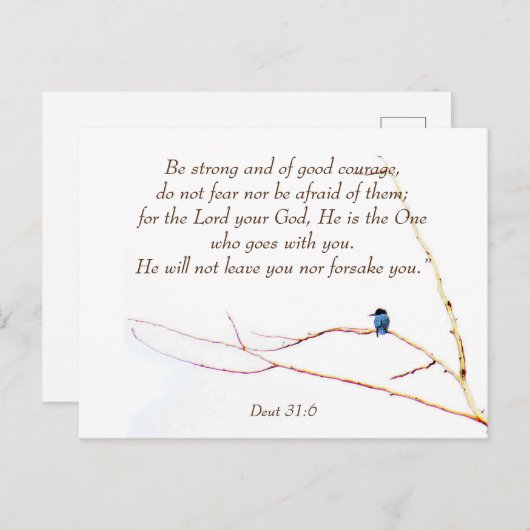 31:6 U bent niet alleen bijbelse Kingfisher Bird Briefkaart (Voorkant / Achterkant)