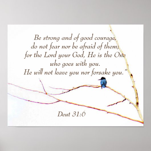 31:6 U bent niet alleen bijbelse Kingfisher Bird Poster (Voorkant)