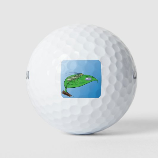 31sprinkhaan golfballen (Voorkant)