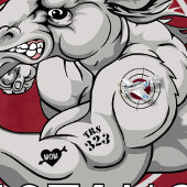 323 Mustangs Luchtmacht Basistraining Afstuderen T-shirt