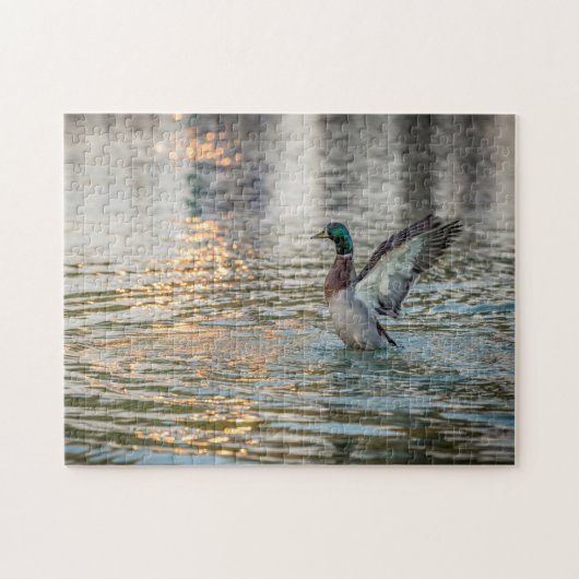 3274-Mannelijke Mallard Splashing in Vijver Puzzel (Horizontaal)