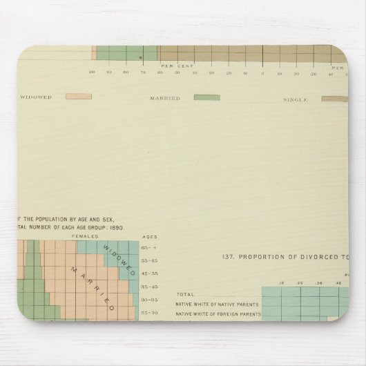 32 Conjugale toestand, gescheiden 1890 Muismat (Voorkant)