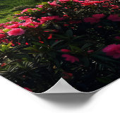 32 In het Late Spring Mountain Forest Poster (Hoek)