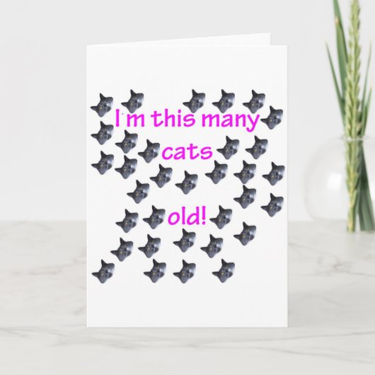 33 Cat Heads Old Kaart (Voorkant)