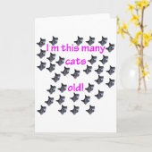 33 Cat Heads Old Kaart (Gele Bloem)