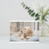 34137641_xxl briefkaart (Staand voorkant)