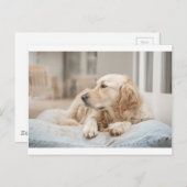 34137641_xxl briefkaart (Voorkant / Achterkant)