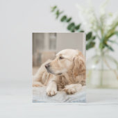 34137641_xxl briefkaart (Staand voorkant)