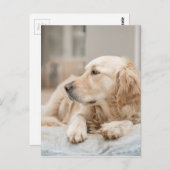 34137641_xxl briefkaart (Voorkant / Achterkant)