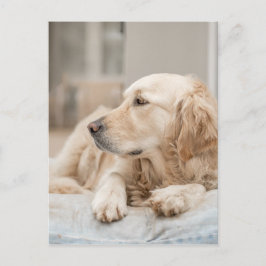 34137641_xxl briefkaart