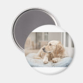 34137641_xxl magneet (Voorkant / Achterkant)