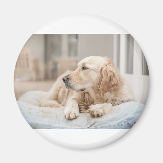 34137641_xxl magneet (Voorkant)