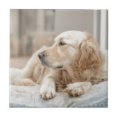 34137641_xxl tegeltje (Voorkant)