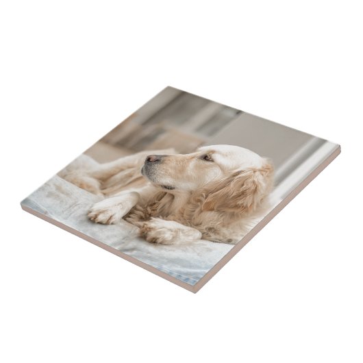 34137641_xxl tegeltje (Zijkant)