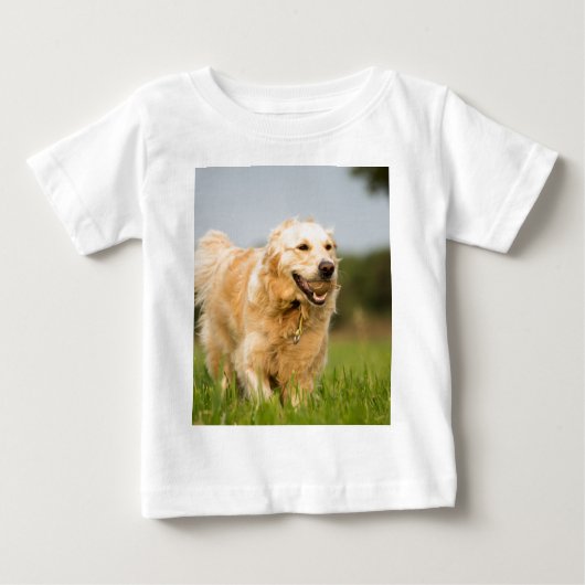 34520685_xxl (Voorkant)