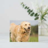 34520685_xxl briefkaart (Staand voorkant)