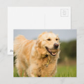 34520685_xxl briefkaart (Voorkant / Achterkant)