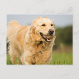 34520685_xxl briefkaart