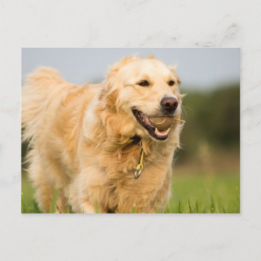 34520685_xxl briefkaart (Voorkant)
