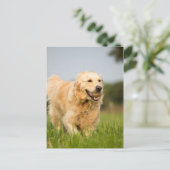 34520685_xxl briefkaart (Staand voorkant)