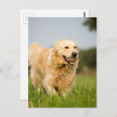 34520685_xxl briefkaart (Voorkant / Achterkant)